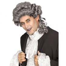 Men's Costume Wig For Party Curly Grey/White
